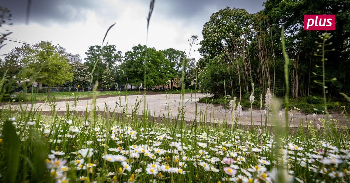 Herrngartenteich Das Wasser kommt Mitte Juni Echo Online